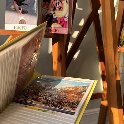 ألبوم صور فنتج