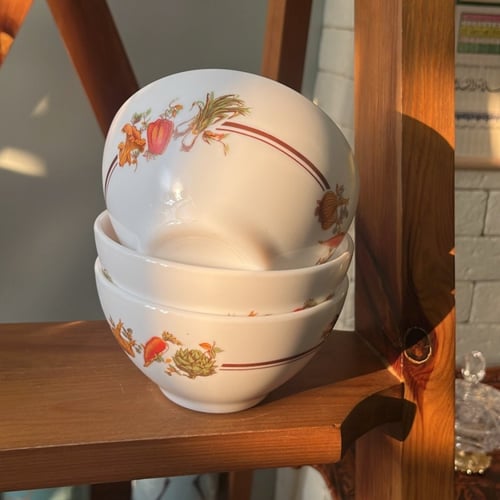 بادية فنتج صناعة فرنسية من اركوبال