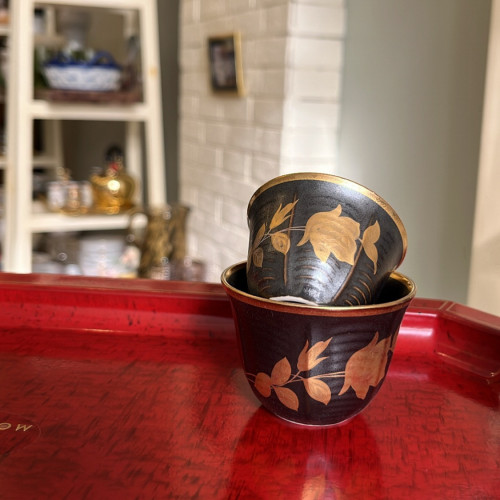 فناجيل يابانية فنتج