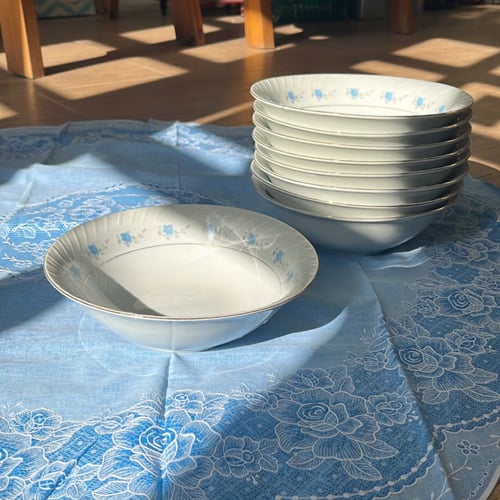 صحون فنتج بتوريد أزرق