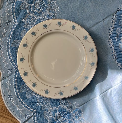 صحون فنتج بتوريد أزرق