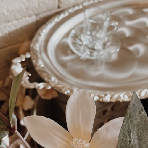 نص درزن بيالات ايطالية فنتج