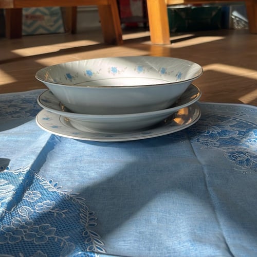 صحون فنتج بتوريد أزرق