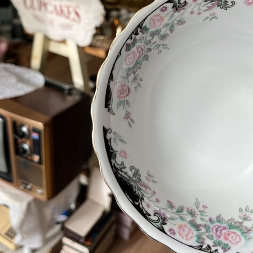 بادية موردة فنتج