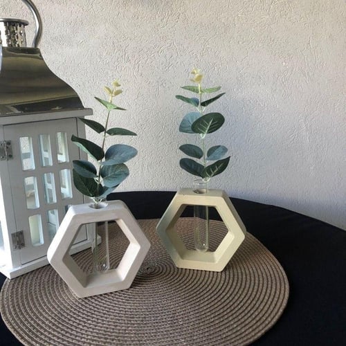 حامل نبته' فواحة