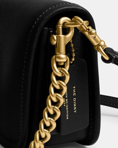 حقيبة كوتش صغيرة