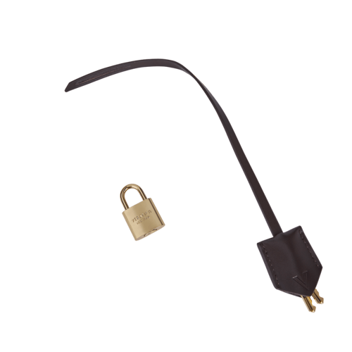 حقيبة هوبو صغيرة من الشوكولاتة الذهبية