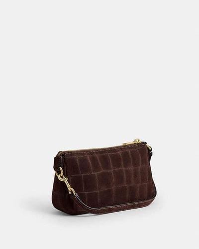 نوليتا 19 / براند كوتش