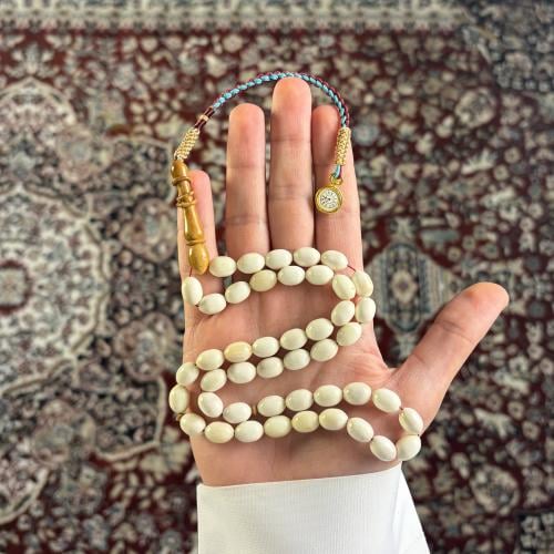 عظم جمل -5
