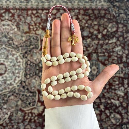 عظم جمل -4