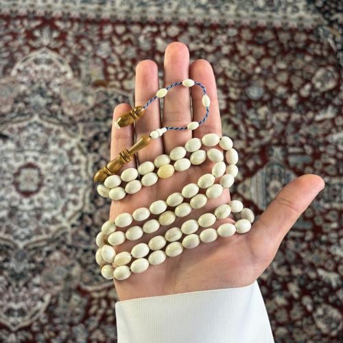 عظم جمل -1