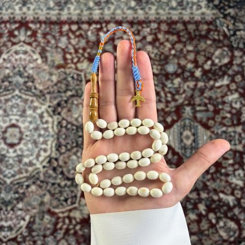 عظم جمل -6