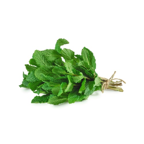حزمة نعناع