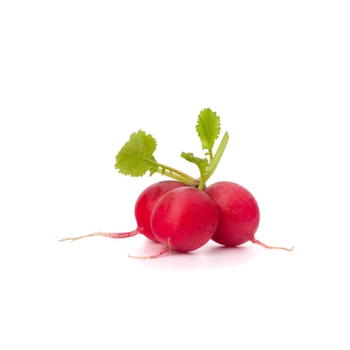 حزمة فجل احمر