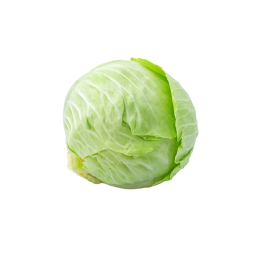 حبة ملفوف اخضر