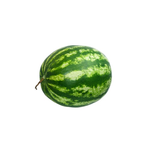 حبة بطيخ