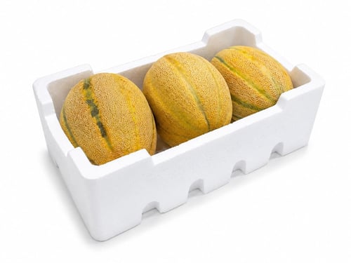 Cantaloupe Mango-style - Large foam