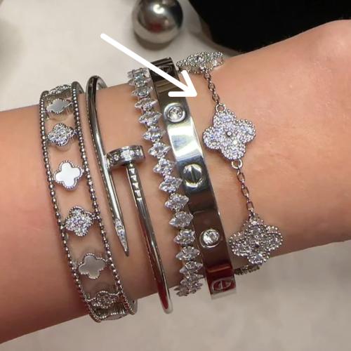 فانكليف خمس وردات ميني فضي زركون