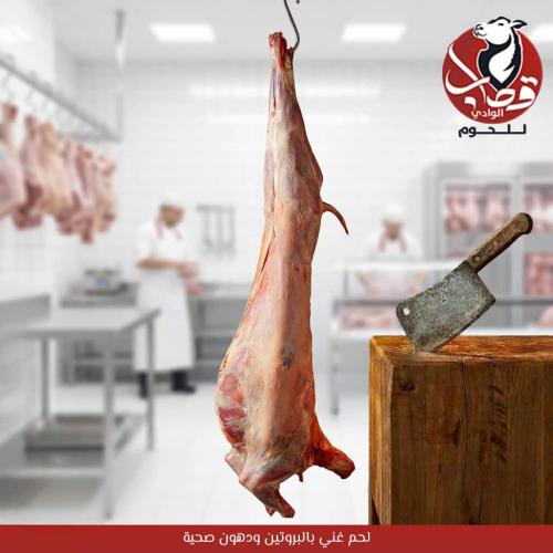 تيس كشميري مبرد طازج ذبيحة كاملة