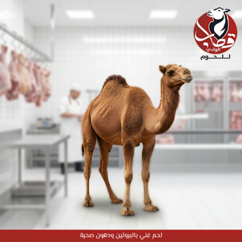 حاشي طازج من أجود المراعي
