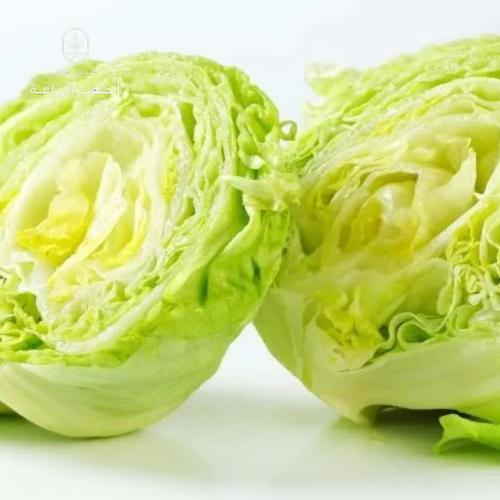 بذور الخس الأمريكي-Lechuga Grandes Lagos-Californi...