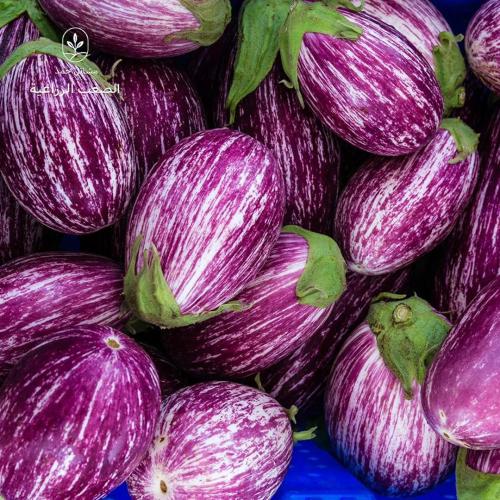 باذنجان مدور هجين-Hybrid Round Eggplant Seeds