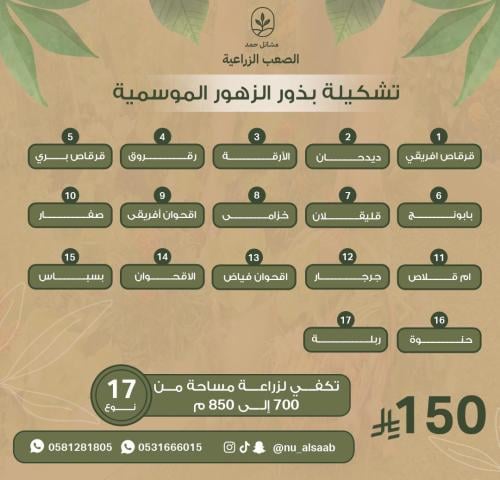 تشكيلة البذور الربيعية (17 صنفاً) - Spring Wildflo...