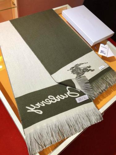 Burberry scarf - my stylish one