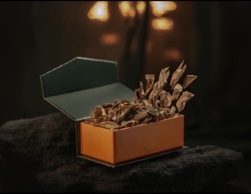 العود الموري