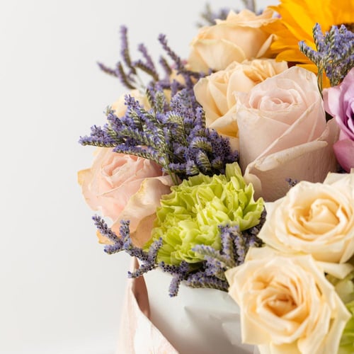 باقة شروق الروح