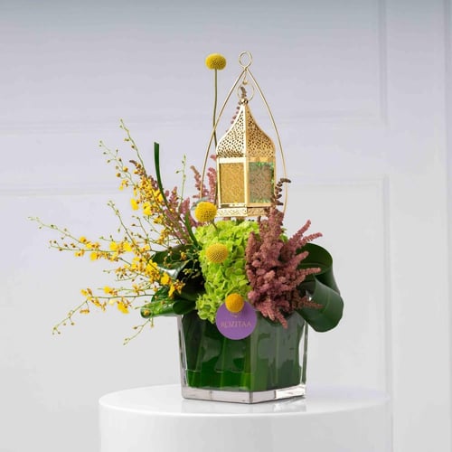 فازة الشهر الكريم