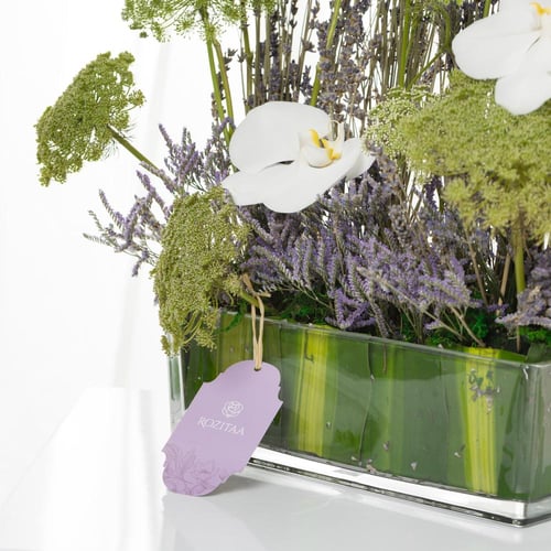 فازة همس الخزامى