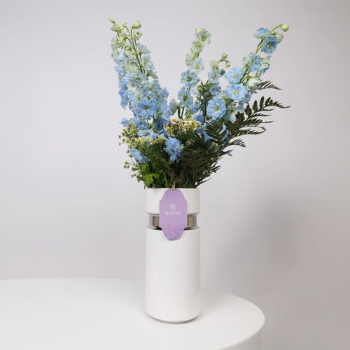 فازة الابداع مع عطر ديور عود اصفهان