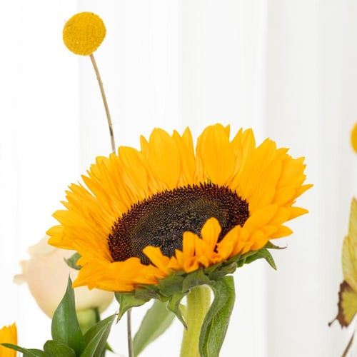 فازة لمسة فراشة ذهبية