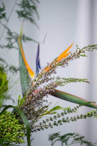 سلة الوان الجنة