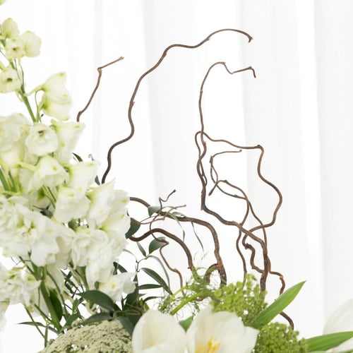 فازة أناقة الغابة البيضاء