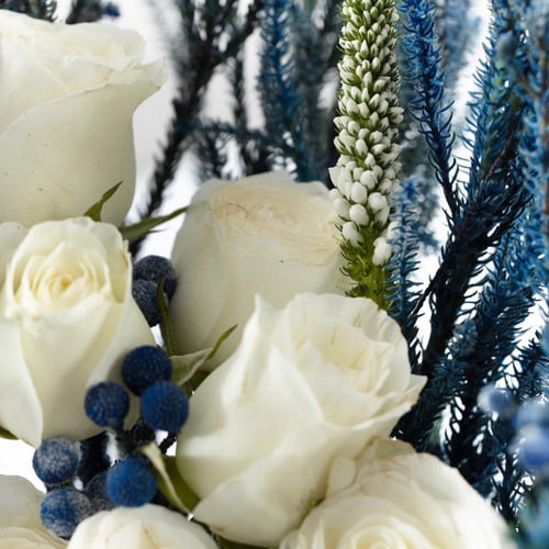 فازة نسمة الدرعية