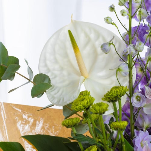 باقة انسجام الربيع الدافئ