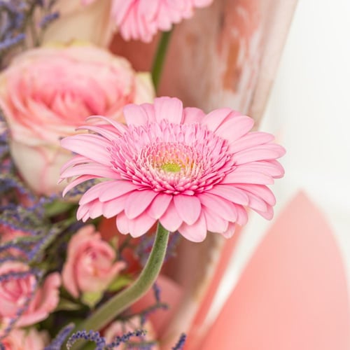 باقة لحن وردي