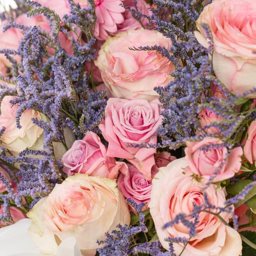 باقة لحن وردي