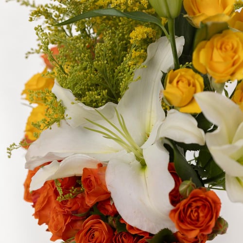 فازة ليالي الورد