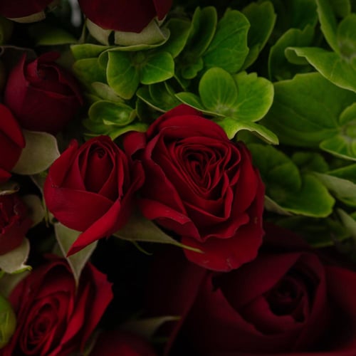 فازة الجوري الأنيقة مع بيتي فور مشكل من باب شرقي