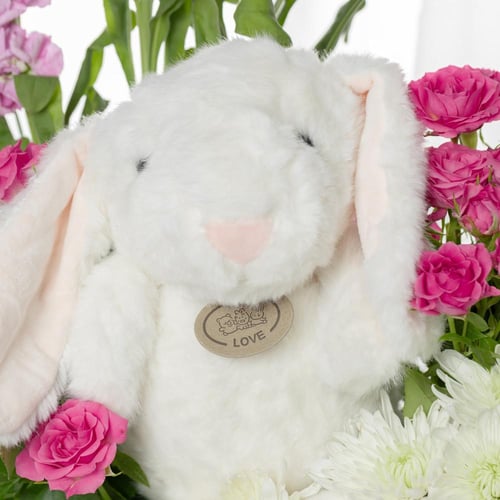 فازة بداية جديدة