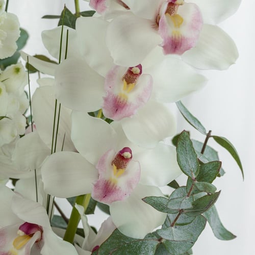 فازة روزيتا رويال