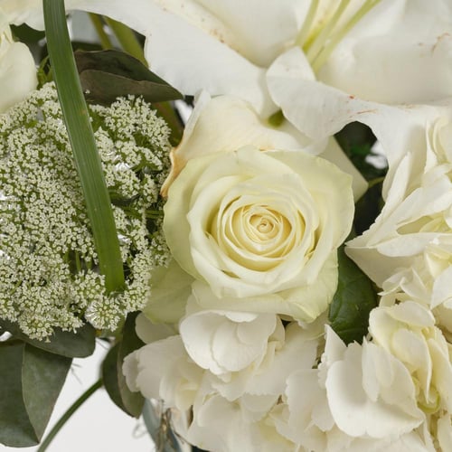 فازة يومنا المجيد