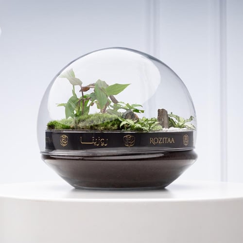 تيراريوم القبة