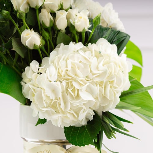 مزهرية بياض الثلج