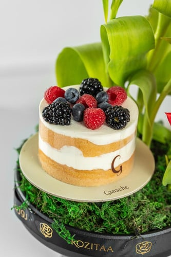 فازة حفلة الحب