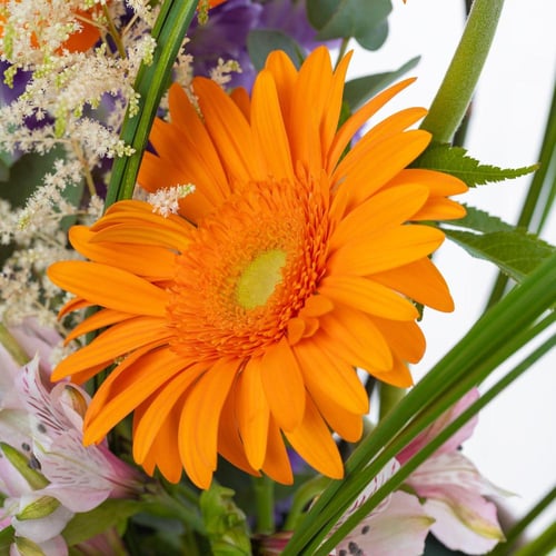 مزهرية تحفة السيراميك الملكية