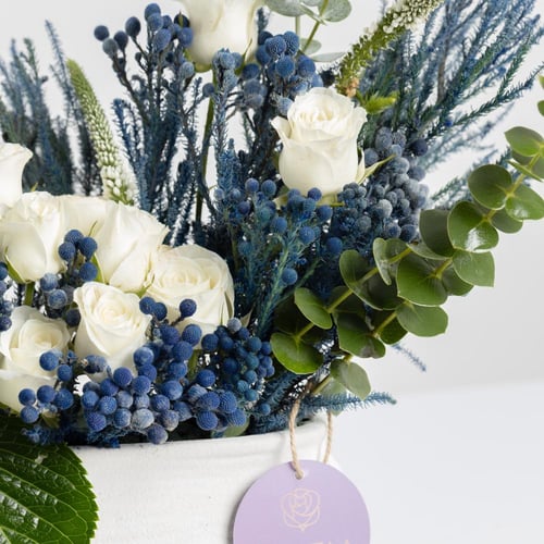 فازة نسمة الدرعية